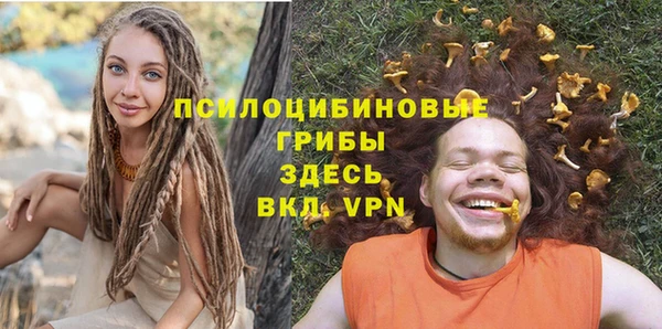 ешки Белокуриха