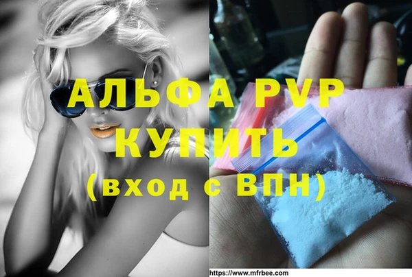 ешки Белокуриха