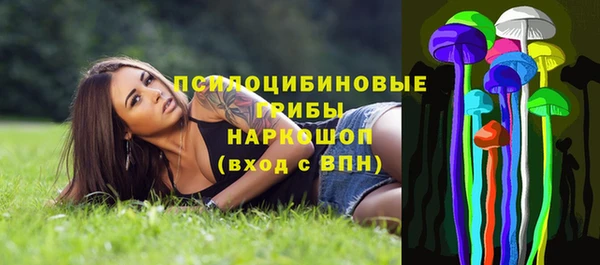 ешки Белокуриха